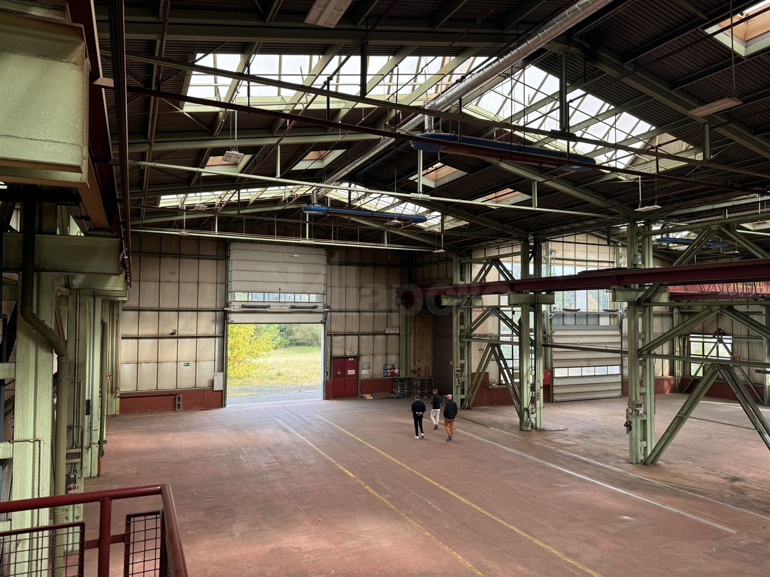 Halle (9)