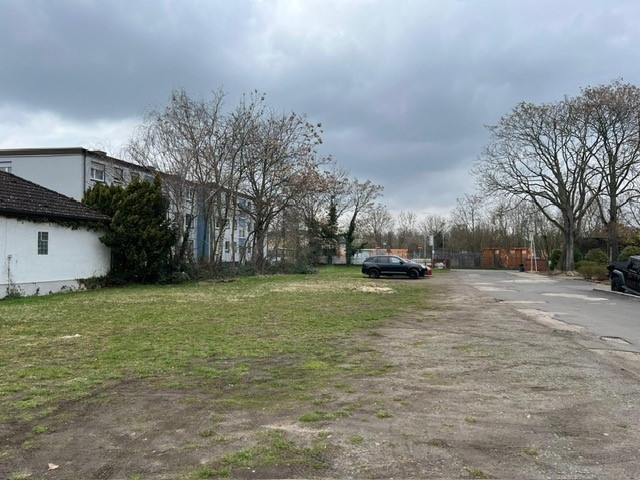 Freifläche 2 (2)