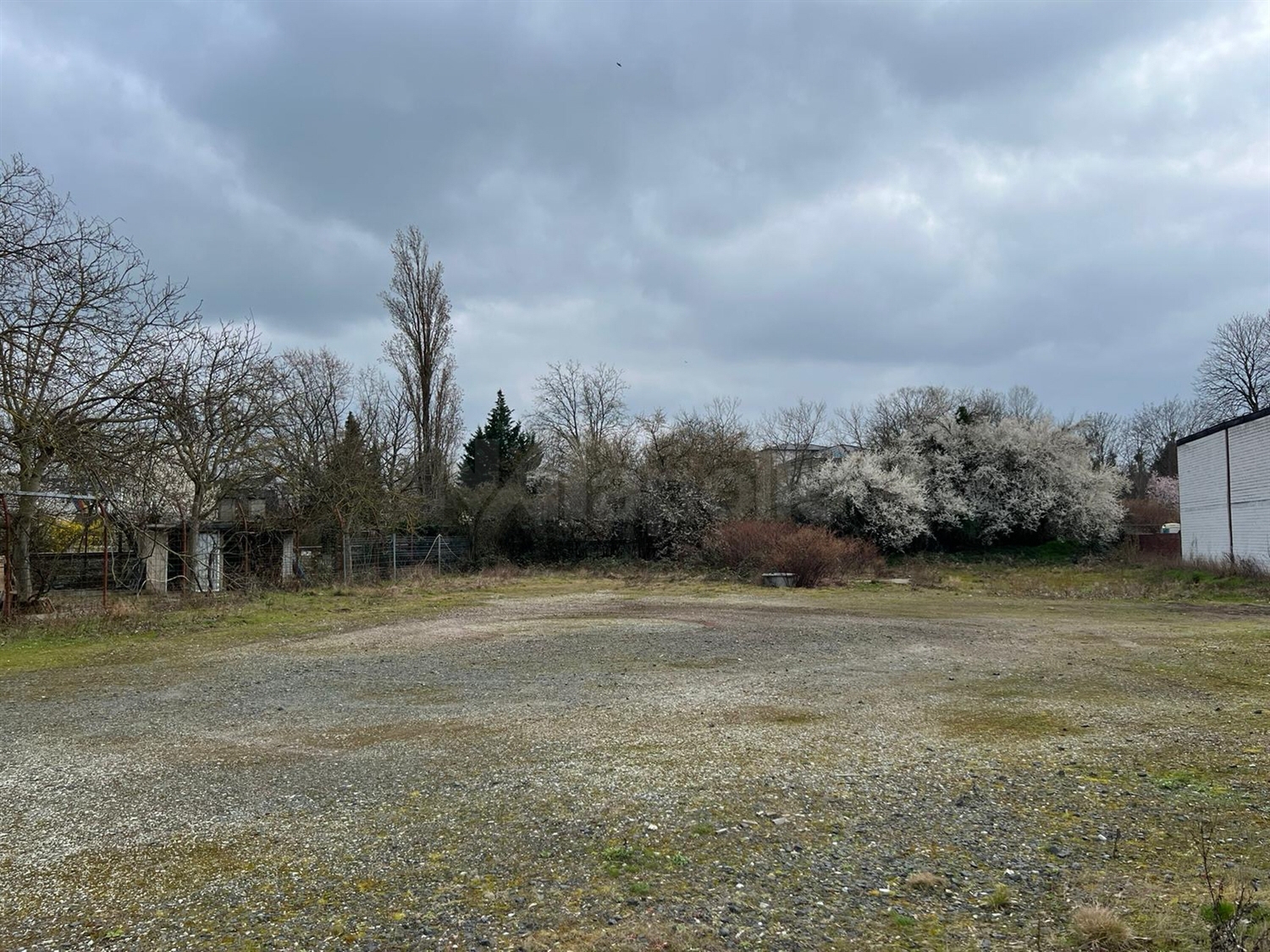 Außenfoto Freifläche  (1)