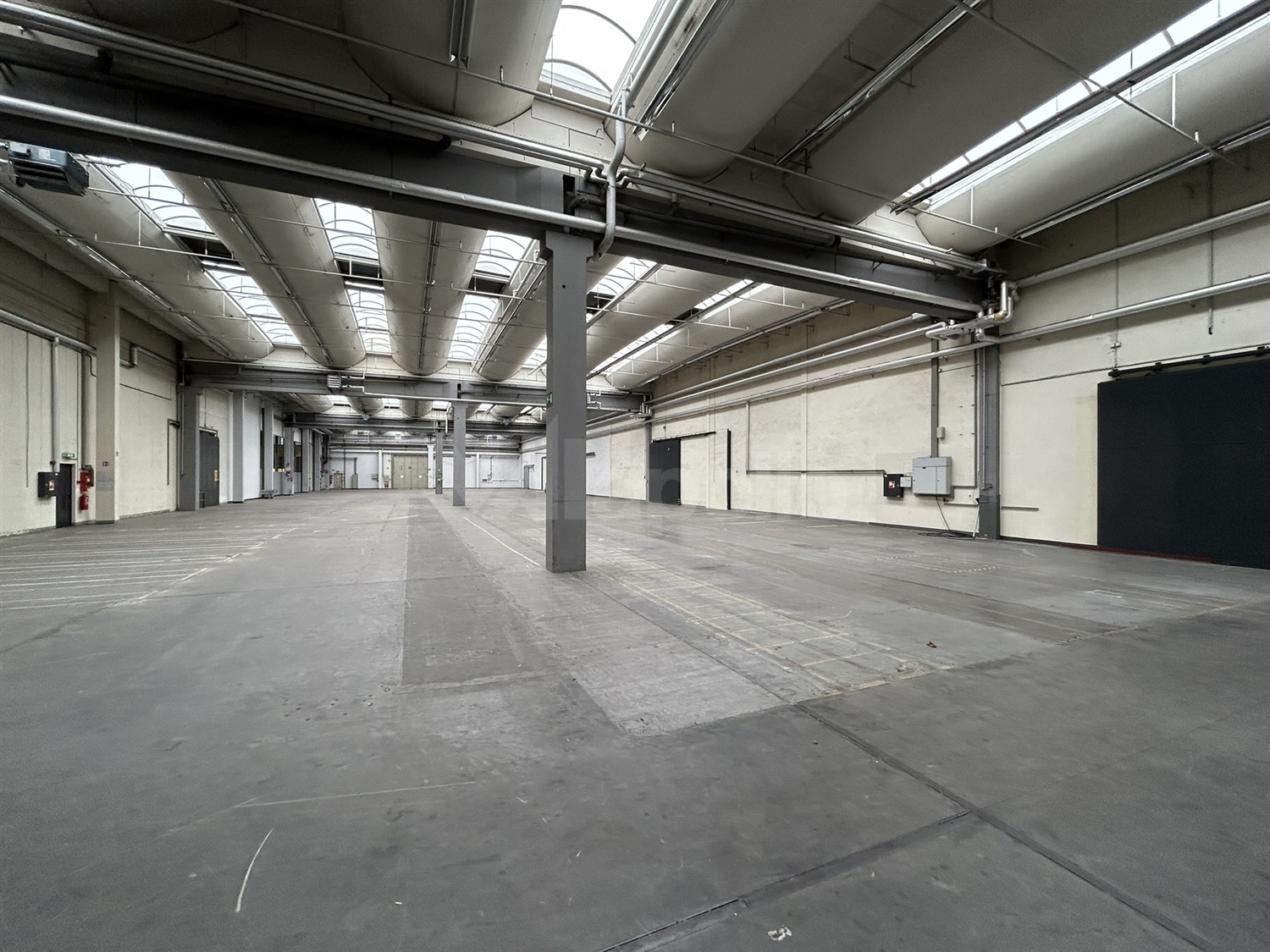 Halle 2 (1)