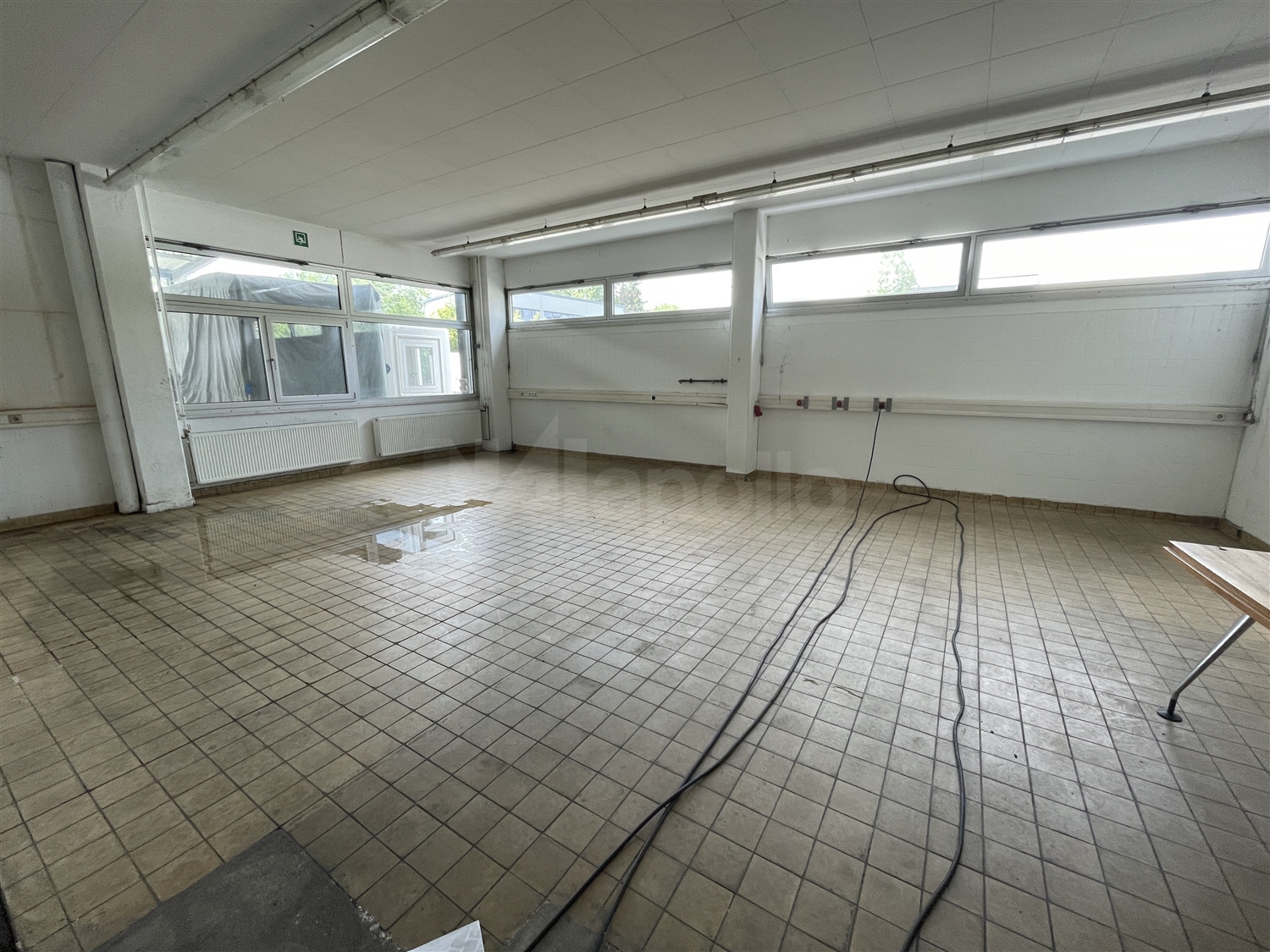 Halle Innenansocht (1)
